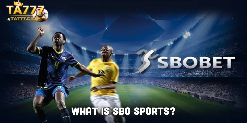 What is SBO Sports